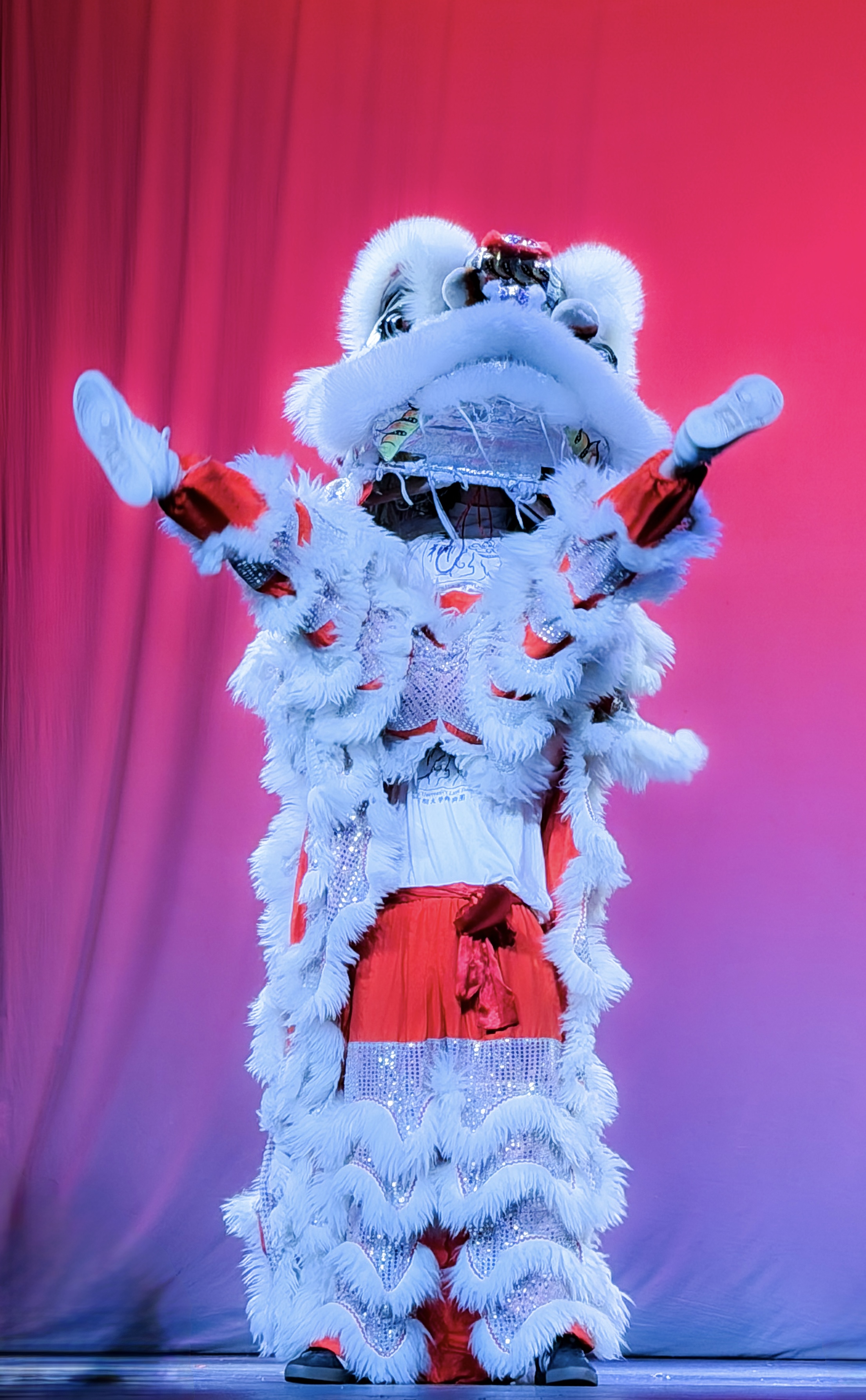 Chinese Lion Dancers performing a stack (the top or 'head' person is jumping, atop the 'tail' person's chest)